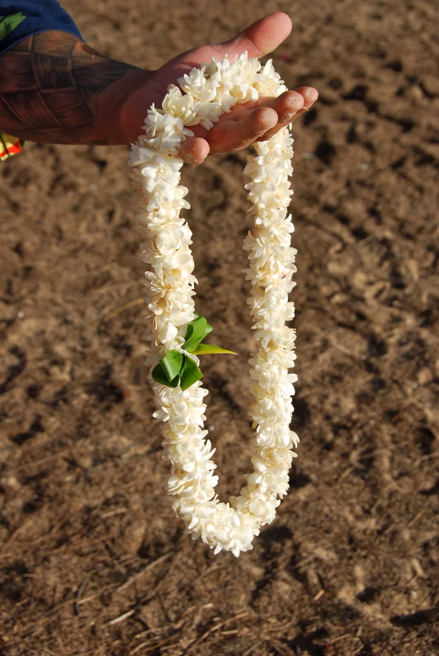 Kauaiweddingflowerstuberoselei Aloha Ever After Kauai Photography