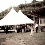 Reception 1