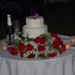 Reception 11