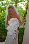 Katie's Wedding Dress Katie in her Wedding Dress
