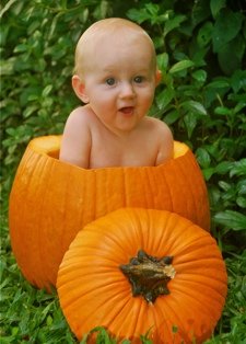 pic-pumpkin-photo-2 Kauai Family Photos