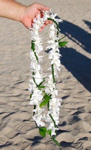 Open ti leaf lei with white orchid wrap around lei
