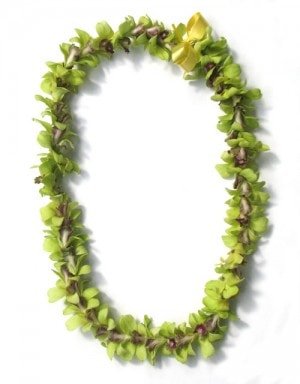 Single green orchid green lei Single green orchid green lei
