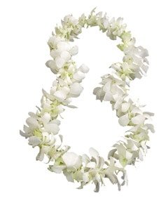 Single white orchid lei Single white orchid lei